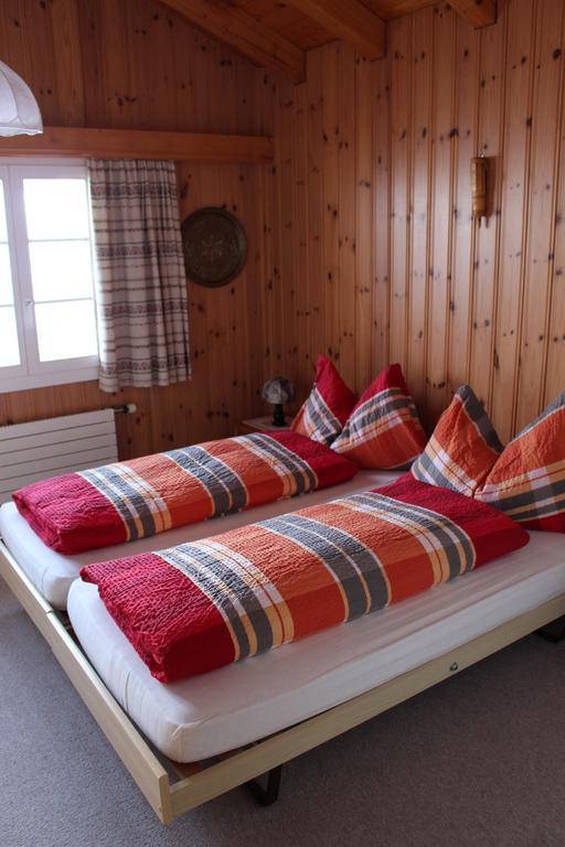 Chalet Spinne Grindelwald Cameră foto