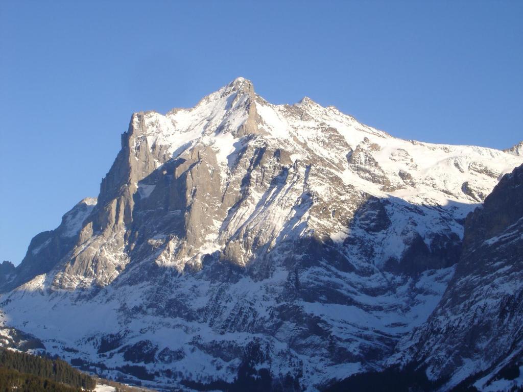 Chalet Spinne Grindelwald Cameră foto